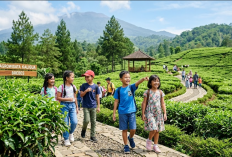 7 Wisata Anak di Brebes yang Asri dan Murah, Cocok untuk Liburan Keluarga