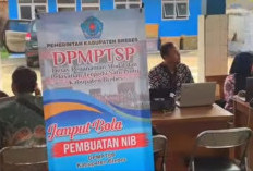 Permudah Layanan Perizinan, DPMPTSP Datangi Nelayan di Brebes