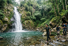 Eksplorasi Curug di Tegal yang Masih Alami, Cocok untuk Penggemar Petualangan Minim Budget