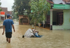 Tanggul Jebol, 4 Desa di Tanjung Brebes Terendam Banjir