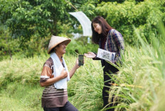 60 Persen KUR BRI 2025 Mengalir ke Sektor Produksi, Pertanian Jadi Kontributor Utama