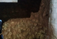 Longsor Terjang Majalangu Watukumpul Pemalang, 2 Rumah Rusak Berat, Warga Mengungsi