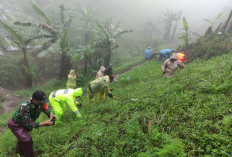 Lestarikan Mata Air Tuk Pitu, 15.000 Pohon Ditanam di Bukit Gondang Tegal