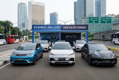 Dari Atto 1 Sampai Seal: Cek Daftar Harga Mobil BYD Terbaru 2026