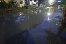 Langganan, Jalan Sebuah Dusun di Pemalang Tergenang Banjir Usai Hujan Deras