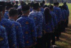 Terkait Penggunaan Presensi Ilegal di Brebes, BKPSDMD Koordinasi dengan BKN
