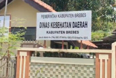 202 Warga di Brebes Suspek Campak, Ini Kata Dinas Kesehatan