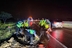 Bus Terperosok di KM 287 Tol Pejagan–Pemalang, Evakuasi Dilakukan di Tengah Hujan