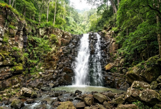 Pesona Curug Tersembunyi di Margasari Tegal, Jalur Trackingnya Menantang Jiwa Petualang