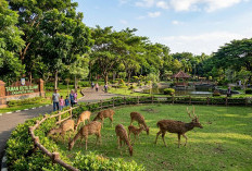 8 Tempat Wisata Gratis di Slawi yang Bisa Dikunjungi saat Akhir Pekan
