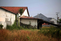 Gedung Rakyat Tegal Terbengkalai: Sejarah Berharga yang Kini Terancam Rusak dan Jadi Sarang Walet