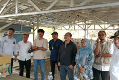 Situs Purbakala 1,8 Juta Tahun Bumiayu Berada di Hutan KPH Balapulang Tegal