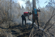 Atasi Medan Sulit Karhutla Gunung Lawu, Kapolda Jateng Ajukan Water Bombing dan Modifikasi Cuaca