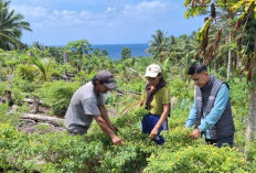Mantri BRI Hadir di Tengah Bentang Kepulauan Talaud, Gerakkan Denyut Nadi Perekonomian 