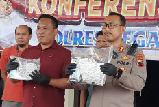 Enam Tersangka Pengedar Narkoba dan Obat-obatan Berbahaya di Tegal Diamankan Polisi