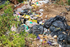 Diduga Buang Sampah ke Hutan Pinus Brebes, Ini Penjelasan SPPG Dawuhan 1