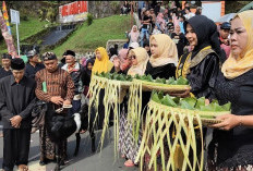 Filosofi Kambing Kendit dalam Ruwat Bumi Guci, Simbol Toleransi dan Kerukunan