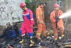 Kebakaran di Batuagung Tegal, Dapur dan Ayam Peliharaan Ludes Terbakar