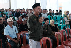 Bibit Kentang Langka, Petani di Pemalang Selatan Resah Jelang Musim Tanam
