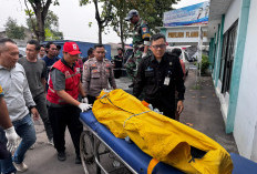 Opsar Tiga Orang yang Hanyut Saat Diduga Menghindari Penggerebekan Judi Sabung Ayam di Tegal Dihentikan