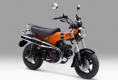 AHM Rilis Honda ST125 Dax Warna Baru, Harganya Segini