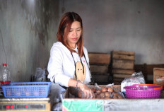 Program MBG Libur, Harga Bahan Pangan di Tegal Hancur