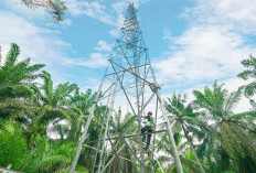 Trafik Data Indosat Meroket selama Idulfitri 2026, Bukti Nyata #LebihBaikIndosat Bukan Sekadar Janji