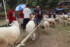 Sakub Kaligua Festival 2026 Dorong Pariwisata dan Ekonomi Warga Brebes Selatan