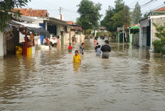 4 Desa di Losari Terdampak Banjir Limpasan Sungai Cisanggarung