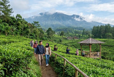 10 Wisata Sejuk di Pemalang Terbaik 2026, Cocok untuk Liburan Akhir Pekan