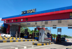 Siap-siap! Puncak Mudik Tol Pejagan–Pemalang Diprediksi 18 Maret, Ini Jadwal One Way