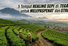 5 Tempat Healing Sepi di Tegal untuk Melepas Penat dan Stres