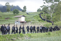 Ambil Sabuk, 200 Siswa PSHT Cabang Kabupaten Tegal Tingkat Hijau Longmarch ke Guci