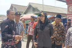 Cek Jalan Rusak di Brebes, Bupati Paramitha Pastikan Perbaikan Segera