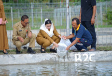 November Capai 261.945 Ekor, Tren Produktivitas Balai Benih Ikan Brebes Positif  