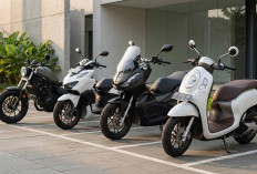 4 Motor Honda Warna Hitam dan Netral, Cocok untuk Penyuka Gaya Minimalis dan Tampilan Elegan