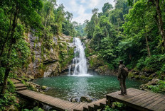 7 Wisata Alam di Tegal yang Indah dan Sepi, Cocok untuk Introvert Cari Ketenangan