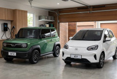 Nyaman dan Murah, 5 Daftar Mobil Listrik 100 Jutaan 2026 yang Cocok untuk Keluarga