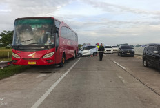 Kecelakaan Maut di Tol Suradadi Tegal: Toyota Calya Ringsek Tabrak Bus, 4 Orang Meninggal