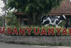 Intip Kisah Banyuanyar, Desa Ramah Lingkungan yang Terus Maju Lewat Pemberdayaan BRILiaN 