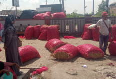 Harga Cabai Merah di Brebes Anjlok! Dihargai Rp5 Ribu per Kilogram