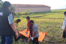 Mayat Tanpa Identitas Ditemukan di Irigasi Bojongsari Brebes
