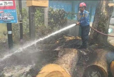 Bakar Sampah Sembarangan, Trafo Listrik di Adiwerna Tegal Nyaris Meledak!