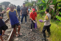 Tragis! Warga Petarukan Meninggal Tertabrak KA Kamandaka saat Hendak Ambil Mangga Jatuh