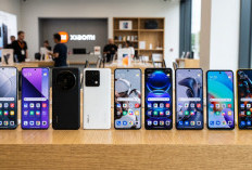 Bisa Buat Ngonten! 5 HP Murah RAM 8GB Ini Punya Kamera 50MP dan Hasil Foto Tajam