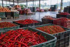 Ketika Harga Pangan Menjadi Beban bagi Masyarakat Kecil