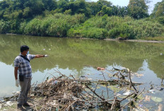 Penemuan Mayat di Sungai Pemali Gegerkan Warga Pesantunan Wanasari Brebes