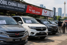 Mobil China Bekas Rp110 Jutaan: Wuling dan DFSK Layak Diburu?