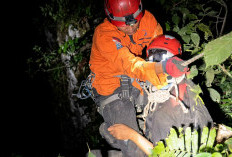 Evakuasi Dramatis Pecinta Reptil Jatuh di Jurang Curug Lawe Semarang