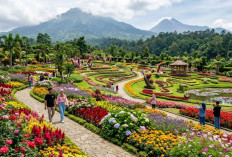 5 Taman Bunga Tercantik di Jawa Tengah 2026, Cocok untuk Liburan dan Hunting Foto